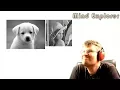 JavaCNN - Image Readers