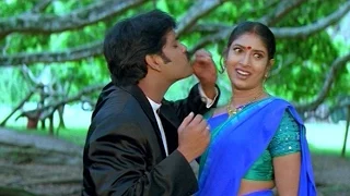 seetaramaraju movie srivaru doragaru video song nagarjuna sanghavi