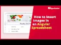 How to Insert Images in an Angular Spreadsheet Component