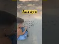 Homeschool Math Arrays