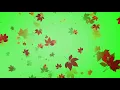 Effect Daun Jatuh Green Screen