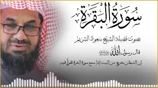 سورة البقرة كاملة دون إعلانات داخلها تحصين المنزل الشيخ سعود الشريم Surah Baqarah Saud Shuraim 