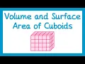 Volume and Surface Area of Cuboids - GCSE Maths