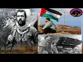 Lagu Kan Moy franco fontana italien bi demon palestine Nguir khékh Liberté Palestine 