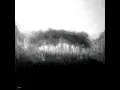 Daylight (Alternative)