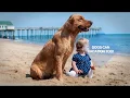2018 Year of the Dog Outer Banks Pet Friendly Rentals Beach Realty NC