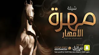 مهرة الأمهار كلمات واداء بندر الذرفي 