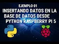 How to insert data into MariaDB from Python on Raspberry Pi 5 Practical example mysql-connector