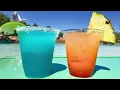 Disney's Blizzard Beach RIDES & ATTRACTIONS - 2026 - Walt Disney World