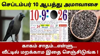 செப்டம்பர் 10 ஆபத்து அமாவாசை ! காகம் சாதம்,எள்ளு வீட்டில் மறக்காம இதை செஞ்சிடுங்க !#westar