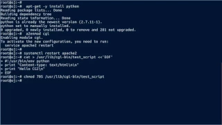 How to Configure Apache2 to use Python as CGI scripts