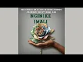 Nginike imali (Pexi-Tonic SA,  Dj 9.8 SA , CeekayMusiq & Cardinalx25 ft. Nana Rsa)