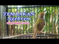 Download Lagu TEMBAKAN NGEBREN ala Prenjak lumut