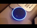 Alexa Answers Yo-kai Watch Wikipedia