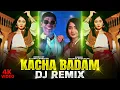 Kacha Badam Dj Remix - Badam Badam Dada Kacha Badam Dj Remix Song | Kacha Badam Viral Song 2022