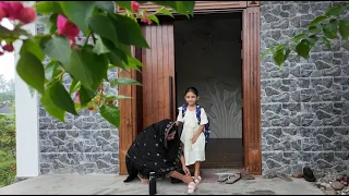 আয়াত জীবনে প্রথমবার স্কুলে গিয়ে বাপের নাম ভুলে গেল | Doyel Agro