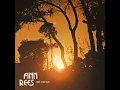 Feel The Sun