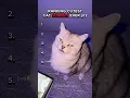 Download Lagu Top 5 Cutest Cat Sounds Ever 😻🎵