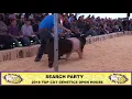 Top Cut Genetics Search Party Hamp Boar 2018