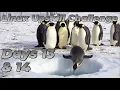 Days 13 14 Users Groups and Permissions - Linux Upskill Challenge