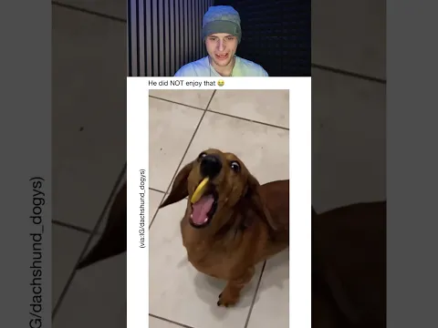 He did NOT enjoy that 😭