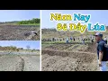 Download Lagu Đông Paulo || Chỗ Này Sẽ Thu Được Bao Nhiêu Tấn Lúa Đây? Diện Tích Trồng Lúa Khổng Lồ Được Mở Rộng!
