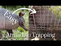 How to Trap an Armadillo the Easy Way - No Bait Required