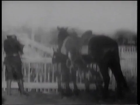 The Bandit King (1907)