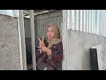 Download Lagu HARI INI BARENG MBAK EVI MARIANI | IRAMA DOPANG LIVE BATU GEMBUNG BAYAN KLU | Suare Langan 2025