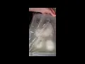 Day 56 Cutting Ball Python Eggs