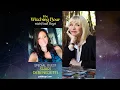 Spectral Bonding with Shari DeBenedetti