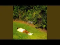 Download Lagu king of the parking lot