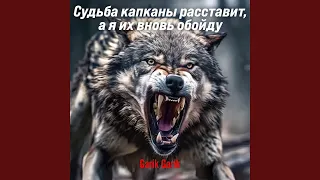 Судьба капканы расставит а я их вновь обойду 