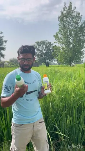 धान की फसल के लिए कौन सी खाद उपयोगी,सांबा के युवा किसान ने क्या बताया| वनइंडिया हिंदी
