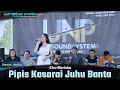 ELSA MERISKA - PIPIS KASARAI JUHU BANTA - SLOWDUT -  LIVE DESA TANJUNG SANGALANG