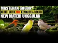 Lagu MASTERAN SOGON KECICI LURIK MIX KEMADEN DAN KENARI