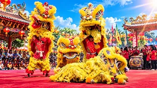 Atraksi Barongsai Lion Dance múa lân 舞獅 cny | Sejit YMS. KWAN SING TEE KUN Dharma Virya