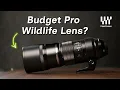 Olympus 300mm f4 PRO Review Deep Analysis and Comparisons