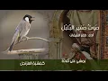 sawto saghir al bulbuli | arabic nasheed
