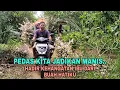 Download Lagu PEDAS KITA JADIKAN MANIS..!! HADIR KEHANGATAN IBU DARI BUAH HATIKU- CERITA NYATA