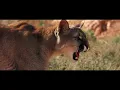 Sauvage Elixir - The New Film