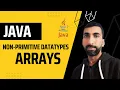 2023 Java Arrays Java non primitive datatypes part 4 learn java basics Next Interface