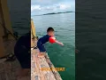 Download Lagu ANAK TENGGELAM DI DERMAGA#shorts #videoshort