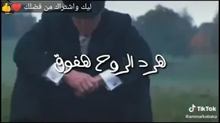 هسبكو وروح ومش هرجع تاني مكانكو 