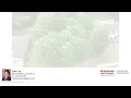 Dothan Real Estate 205 Wicklow Drive Dothan AL 36303 43 000