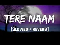 Download Lagu Tere Naam Humne Kiya Hai [Slowed+Reverb] - Udit Narayan, Alka Yagnik |  Salman Khan | old Lofi Songs