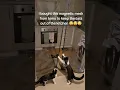 Download Lagu This video went viral on Tik tok. https://vm.tiktok.com/ZNdenqwo8/