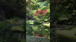 مغرور يا قلبي روائع فيروز أغاني زمان 