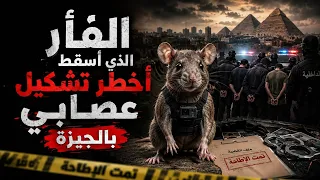 الفأر الذي أسقط أخطر تشكيل عصابي في الجيزة دندنها