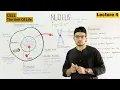 Nucleus Structure and Function 4